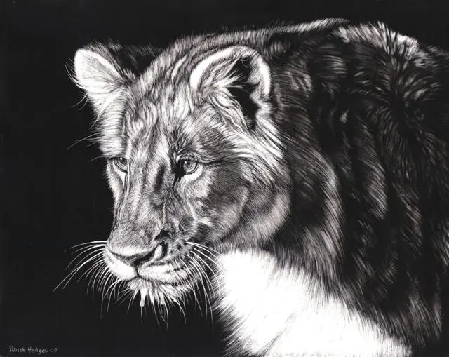 How to Make Scratchboard Art in 5 Easy Steps